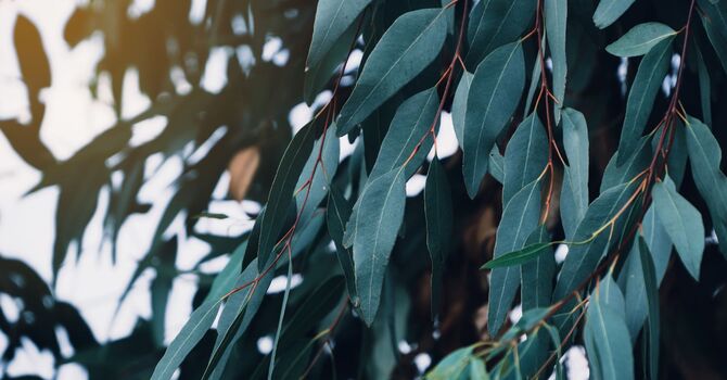 Insurance Review and First Visit