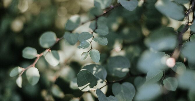 Insurance Review and First Visit